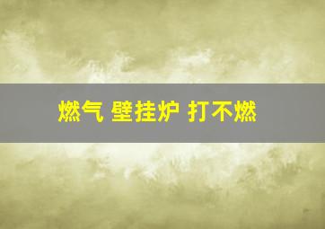 燃气 壁挂炉 打不燃